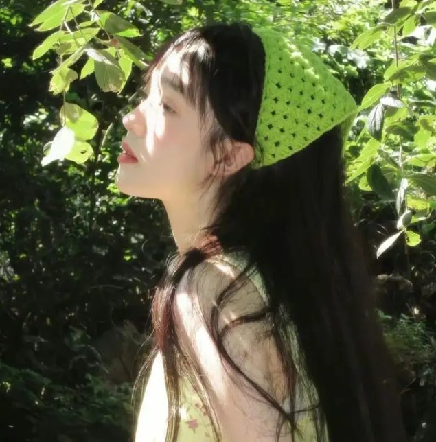 凤皇传